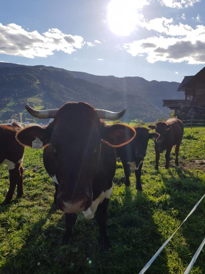 Huettenferien Koeberlhof Sankt Georgen ob Murau Extérieur photo